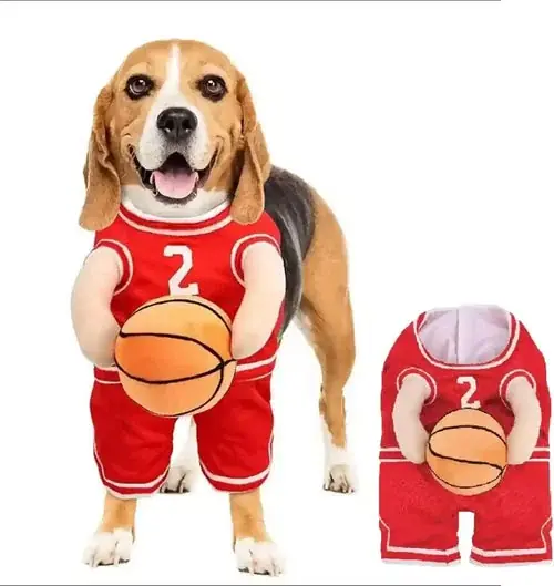 Kundfavorit - Costume per Cani Modello ”Basket”