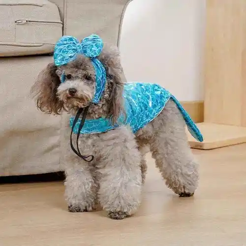 Prisnedsättning - Costume per Cani Modello ”Sirenetta”