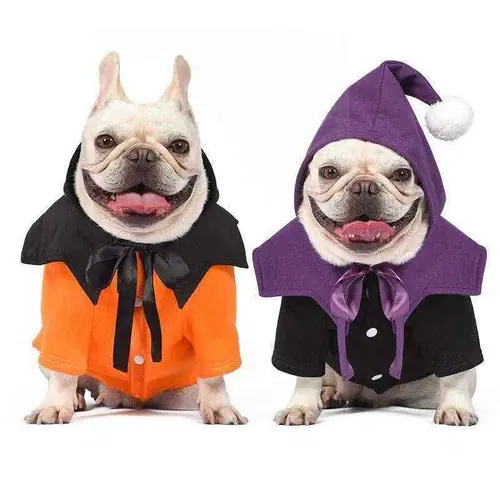 Rea | Costume Spettrale per Cani Halloween con Stile