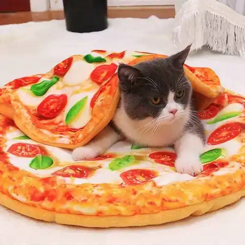 Bara idag - Cuccia Cuscino per Cani e Gatti Comfort e Sicurezza per i tuoi Amici a Quattro Zampe