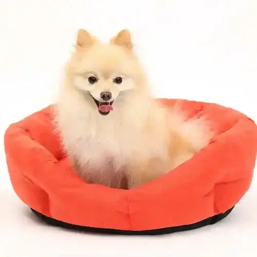 Professionell kvalitet - Cuccia per Cani ”Nido di Coccole” – Morbida, Accogliente e Perfetta per il Riposo