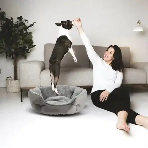 Cuccia Tonda “Nido di Coccole” per Cani Piccoli e Medi | Nyhet hos oss
