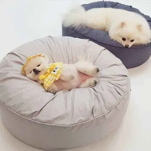 Cuccia Tonda per Cani ”Bia” – Morbida, Impermeabile e Lavabile | Lågt pris