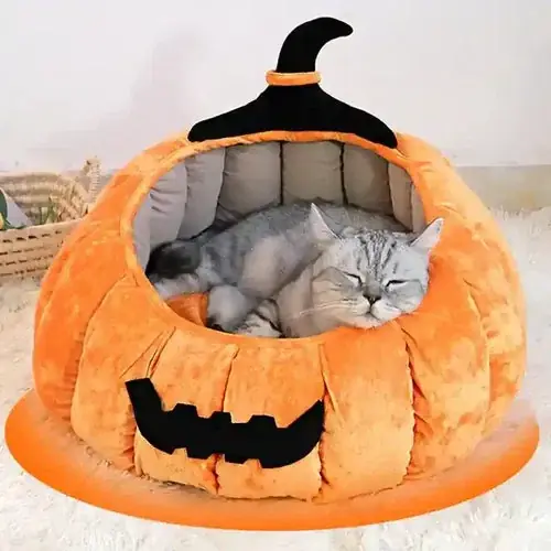 Cuccia Zuccona a Forma di Zucca per Gatti – Morbida e Facile da Pulire | Nyinkommet