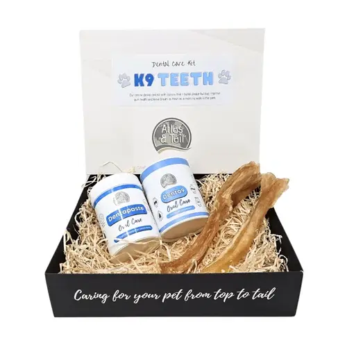 Prissänkt | Dental Care Kit