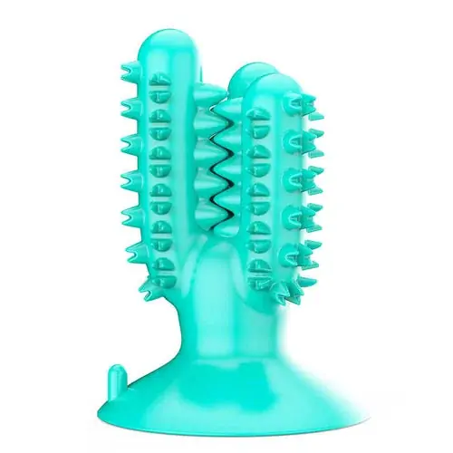 Dental kaktus - Fynd