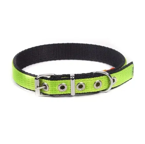 Dingo Dog Collar Energy Extra 2cm*55cm - Nytt lägre pris