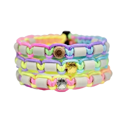 Precis inkommet | DJURHALSBAND – NEON