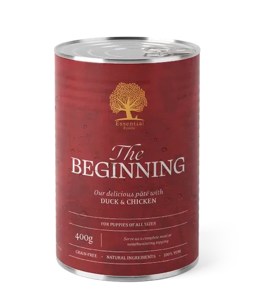 Essential Beginning Pâté, 400 g - Endast ett fåtal kvar