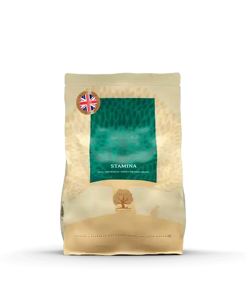 Essential Stamina 2,5 kg - Lågt pris