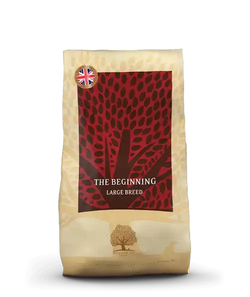 Essential The Beginning Large Breed 10 kg - Favorit