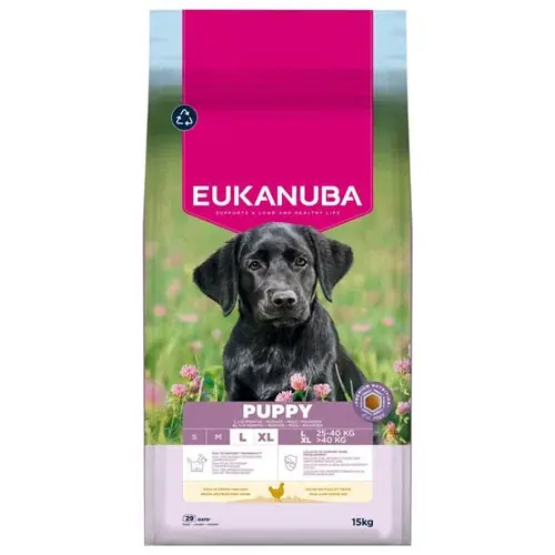 Eukanuba Dry Dog Food Puppy Large Breed Chicken, 15 kg | Hög kvalitet