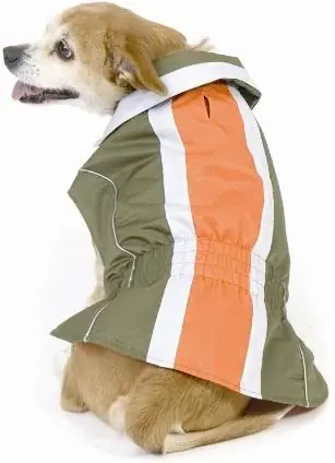 Fashion Pet City Sport Dog Jacket | Nytt lägre pris