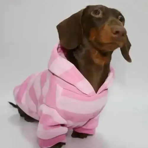 Felpa Bassotto in Pile Rosa – Con Cappuccio e Pettorina | Fynd