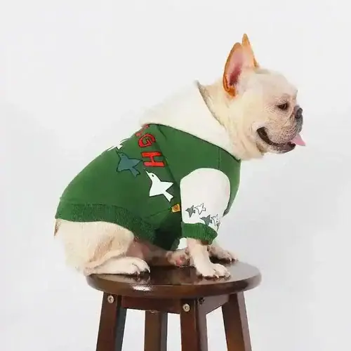 Felpa Imbottita in Pile Verde per Bulldog Francesi con Stampa Uccellini e Scritta ”Fly High” | Specialpris