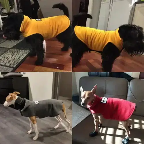 Direkt från tillverkaren - Felpa in Pile per Cani ”Paradiso” – Calda, Morbida e Facile da Indossare ❄️