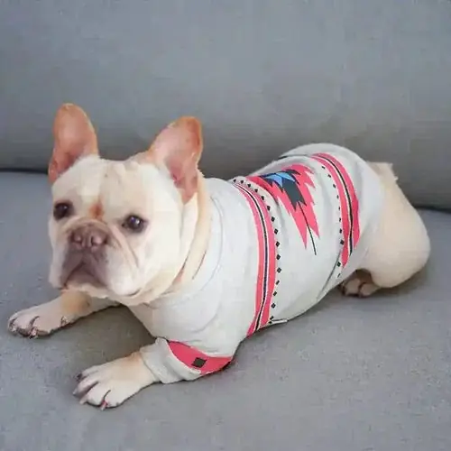 Favorit - Felpa per Bulldog con Stampa Geometrica – Modello ”Kos”