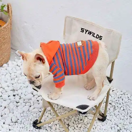 Felpa per Bulldog francese in cotone ”Totò” - Toppkvalitet