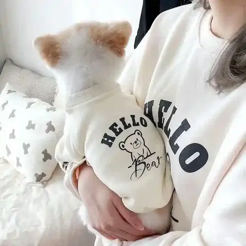 Felpa per cani ”Ciao Orsetto!” – Stile e comfort per il tuo amico a quattro zampe | Nyinkommet