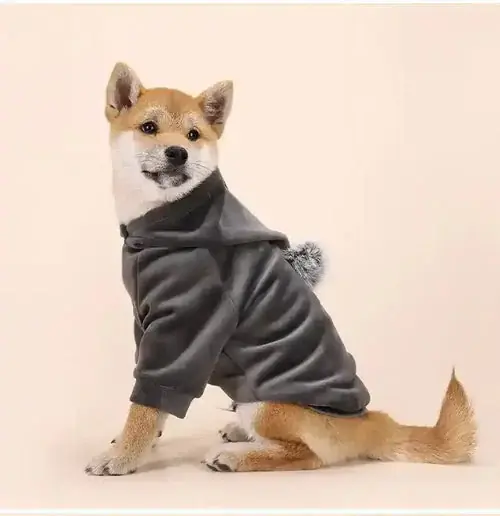 Spara nu | Felpa per cani Akita Inu con cappuccio e pon pon – Calore e Stile per i mesi invernali