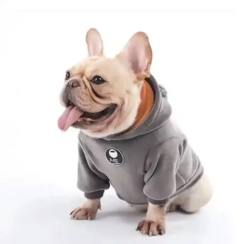 Storsäljare - Felpa per Cani con Cappuccio ”Aape” – Morbida, Calda e Stile Streetwear