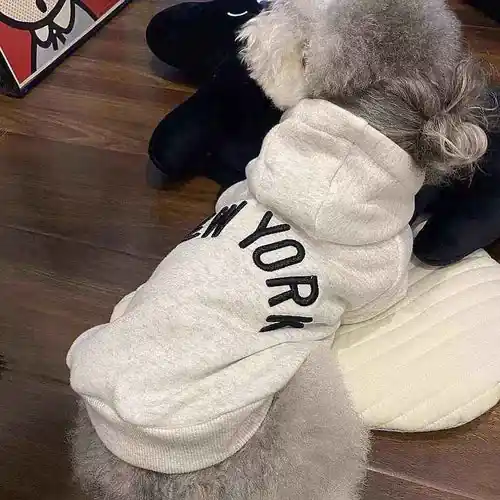 Spara nu | Felpa per cani con cappuccio ”New York” calda e trendy