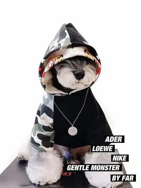 Finns i lager | Felpa per cani con cappuccio e zampine ”Street Art”