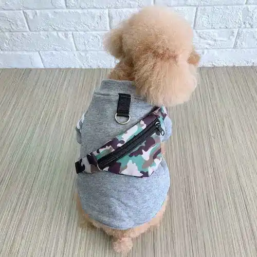 Felpa per Cani con Marsupio Rimovibile Modello ”Sassy” | Klar att skickas