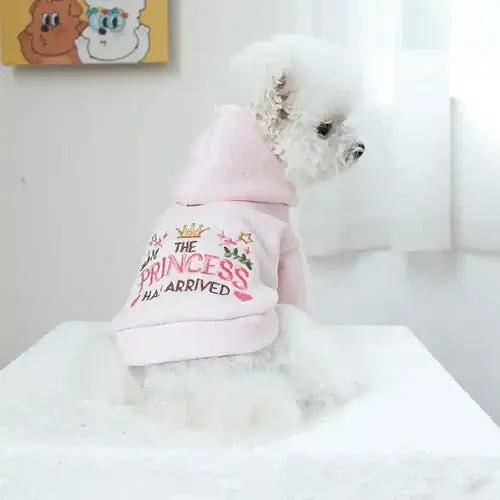 Felpa per Cani Rosa ”The Princess Has Arrived” con Cappuccio e Ricami | Under begränsad tid