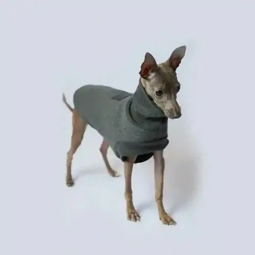 Felpa per Pinscher in flanella grigia modello ”Milo” – Comfort e stile per il tuo amico a quattro zampe - Skynda dig