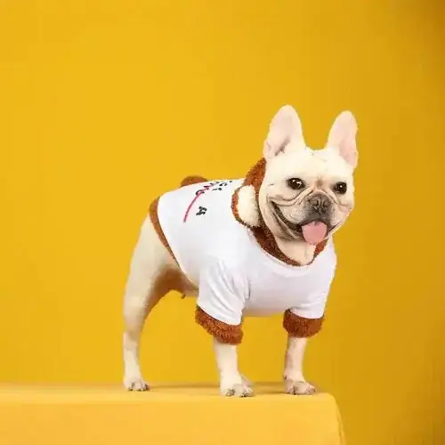 Felpina ”Not a Moschino Toy” per Cani – Eleganza e Comfort - Handla nu