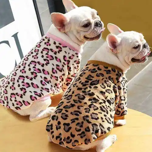 Felpina Leopardata per Cani ”Baffo Pardo” – Stile e Comfort Selvaggio | Favorit hos kunderna