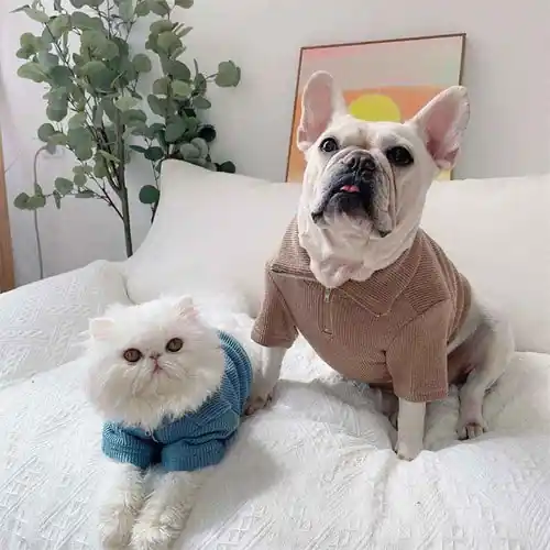 Kundernas favorit - Felpina per Cani e Gatti ”Marshall” – Confortevole, Elasticizzata e con Zip!