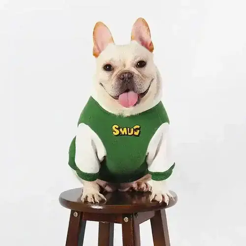 Felpina per cani modello SMUG Bulldog | Kan beställas