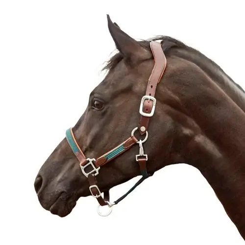 Finesse Bridles Lädergrimma – Brun | Mycket uppskattad