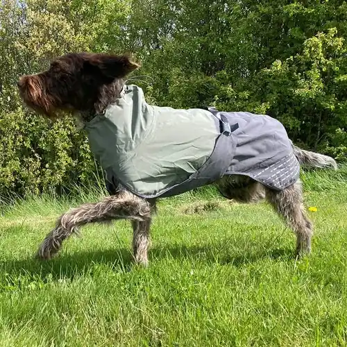 Fjord Regntäcke Hund - Bästa pris