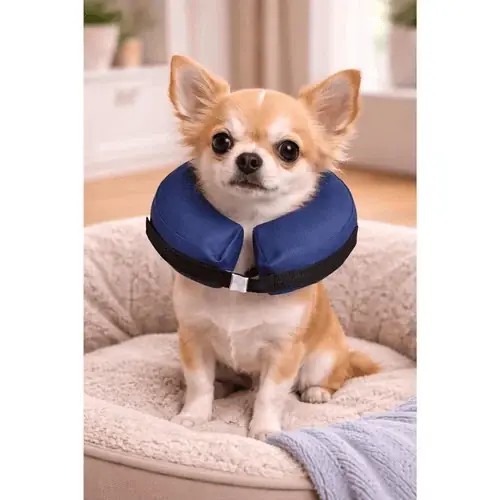 Köp online | Flamingo Inflatable Collar