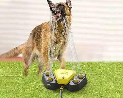 Fontanella a Pedale per Cani da Giardino ”Aquafan” – Igiene, Comfort e Divertimento per il Tuo Amico a Quattro Zampe | Sista chansen