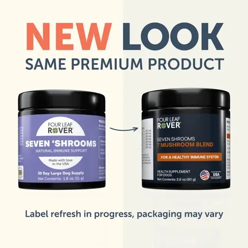 Four Leaf Rover – Immunity Seven Shrooms | Expressfrakt
