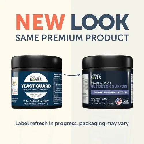 Four Leaf Rover – Yeast Guard for Dogs | Sista chansen