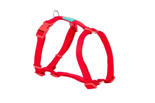 Freedog Basic Red Nylon Harness, 20 mm, 51/70 cm | Populär