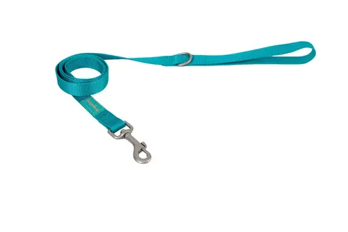 Beställ online - Freedog Basic Turquoise Nylon Lead, 25 mm, 120 cm