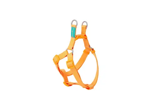 Få kvar i lager - Freedog Basic Type A Black Nylon Harness, 10 mm, 20/36 cm