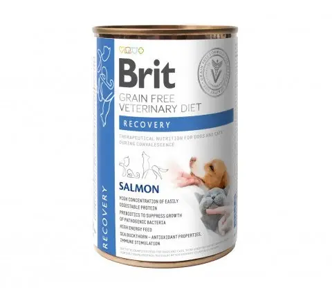 Brit Veterinary Diet Recovery Salmon för hundar & katter 6 x400 g | Bra pris just nu