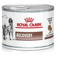 Mycket efterfrågad | Royal Canin Veterinary Feline Recovery Ultra Soft mousse - 12 x 195 g