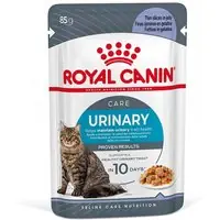 Royal Canin FCN Urinary Care i gelé - 12 x 85 g | Rea