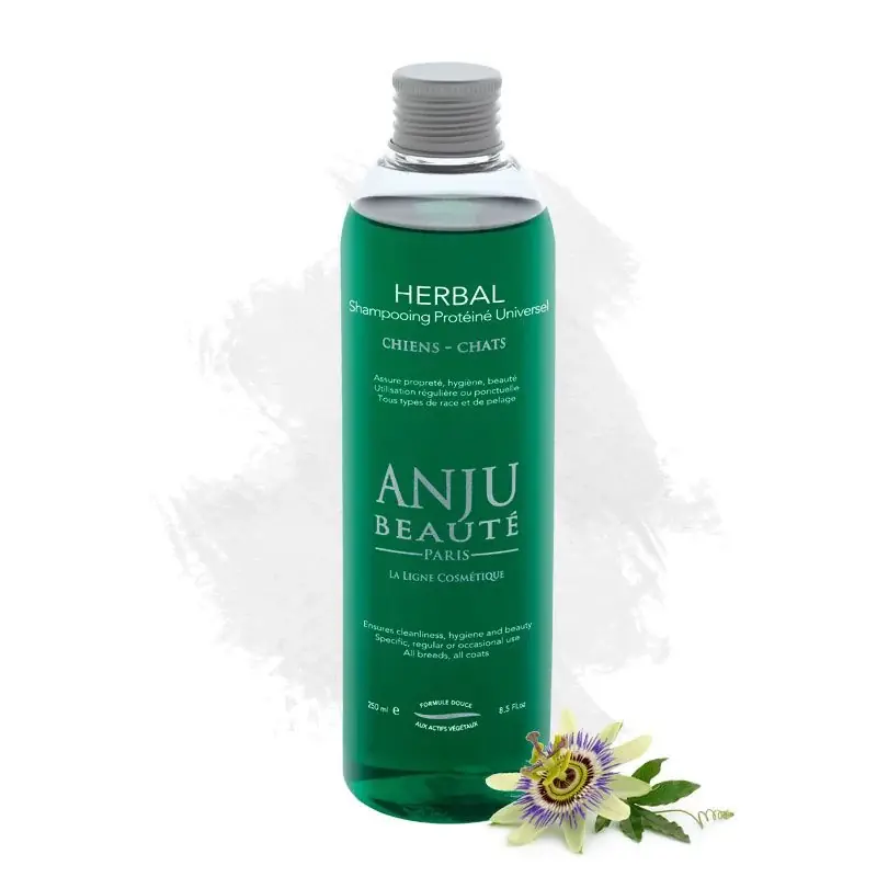 Shampoo Herbal | Rea