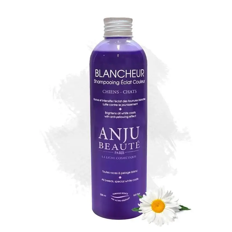 Mycket uppskattad - Shampoo Blancheur
