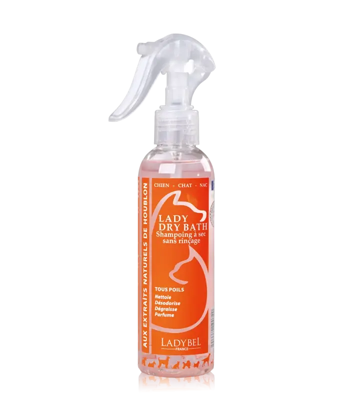 Lady Dry Bath Leave-in Shampoo Lotion | Endast ett fåtal kvar