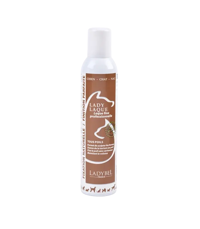 Lady Laque Hairspray | Superpris